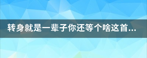 转身就是一辈子你还等个啥这首歌的歌名是啥？