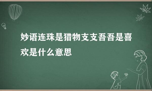 妙语连珠是猎物支支吾吾是喜欢是什么意思