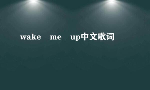 wake me up中文歌词