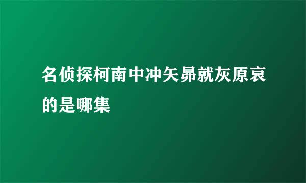 名侦探柯南中冲矢昴就灰原哀的是哪集