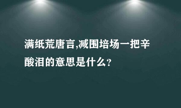 满纸荒唐言,减围培场一把辛酸泪的意思是什么？