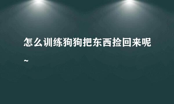 怎么训练狗狗把东西捡回来呢~