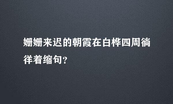 姗姗来迟的朝霞在白桦四周徜徉着缩句？