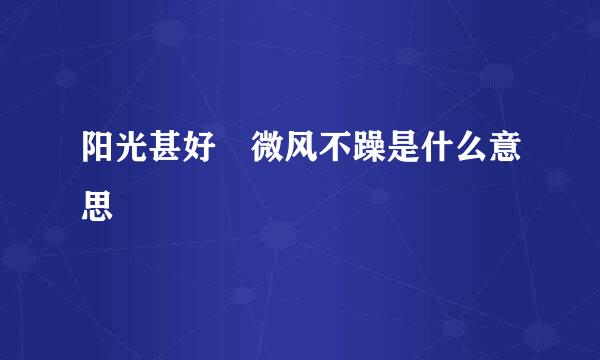 阳光甚好 微风不躁是什么意思