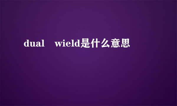 dual wield是什么意思