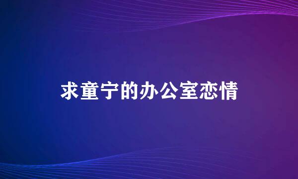 求童宁的办公室恋情