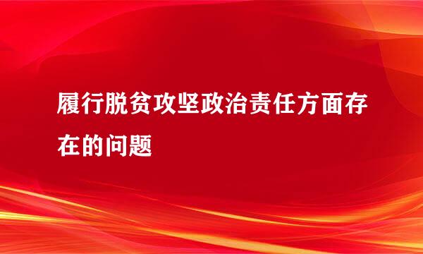 履行脱贫攻坚政治责任方面存在的问题