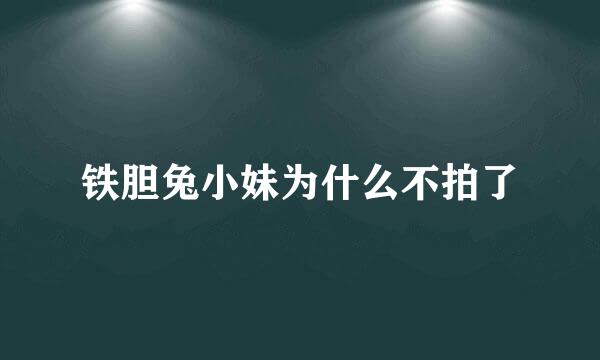 铁胆兔小妹为什么不拍了