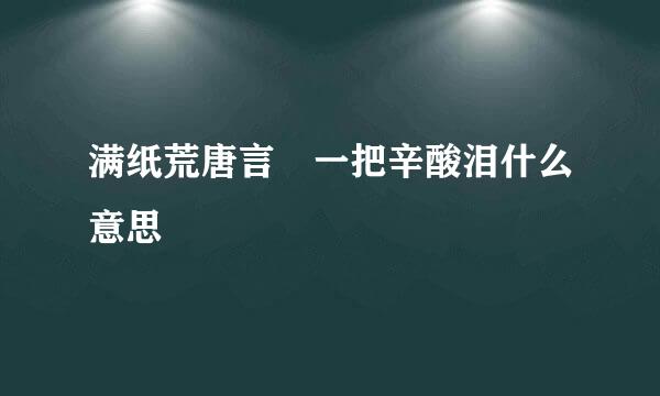 满纸荒唐言 一把辛酸泪什么意思