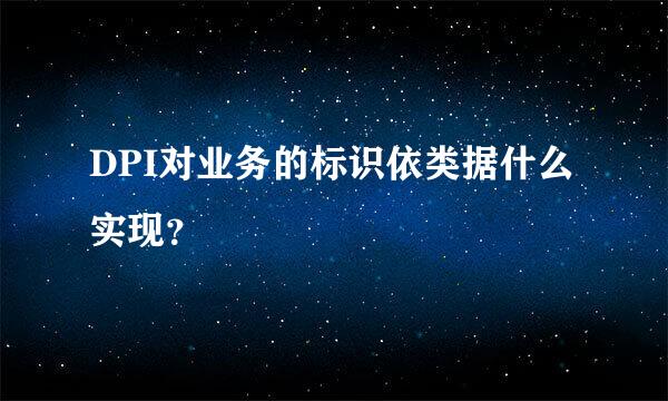 DPI对业务的标识依类据什么实现？