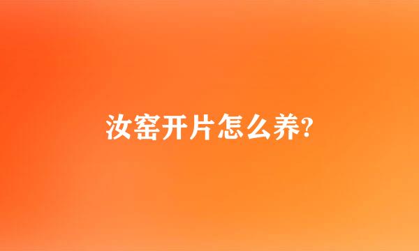 汝窑开片怎么养?