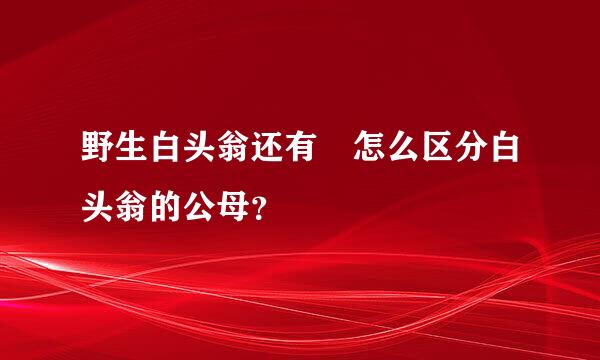 野生白头翁还有 怎么区分白头翁的公母？