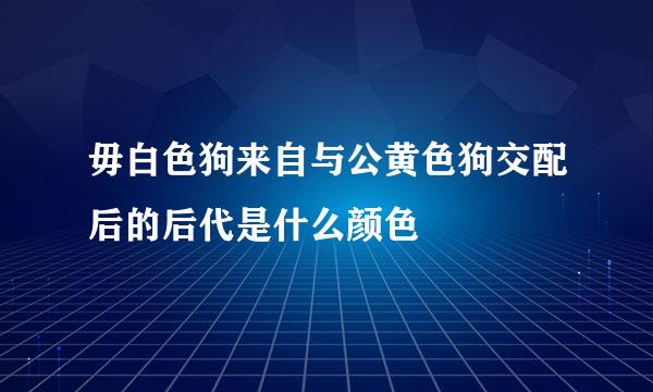 毋白色狗来自与公黄色狗交配后的后代是什么颜色