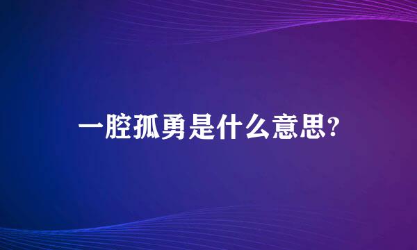 一腔孤勇是什么意思?