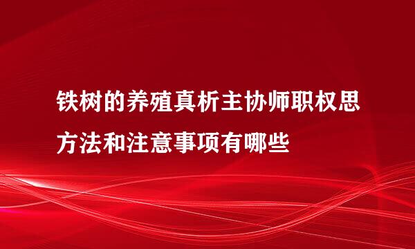 铁树的养殖真析主协师职权思方法和注意事项有哪些