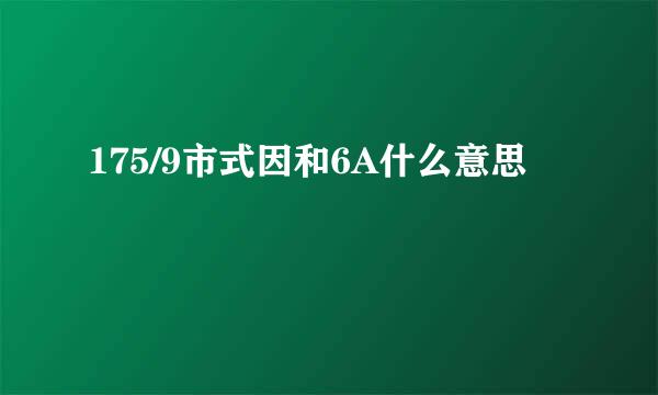 175/9市式因和6A什么意思