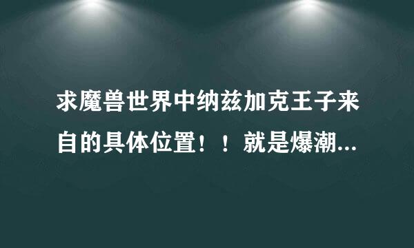 求魔兽世界中纳兹加克王子来自的具体位置！！就是爆潮汐咒符的那个银英