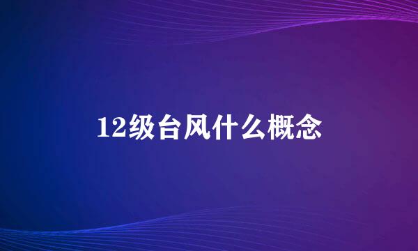 12级台风什么概念