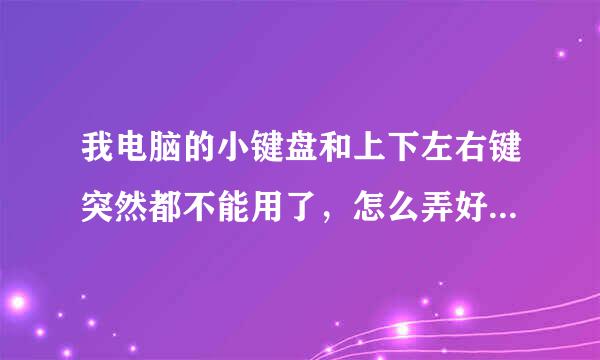 我电脑的小键盘和上下左右键突然都不能用了，怎么弄好？？？？！！急！！！