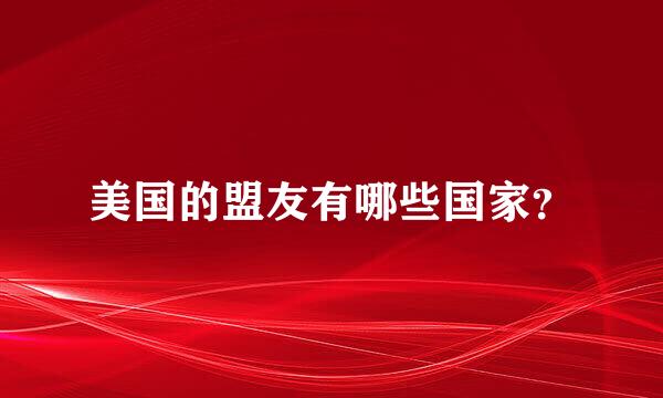 美国的盟友有哪些国家？