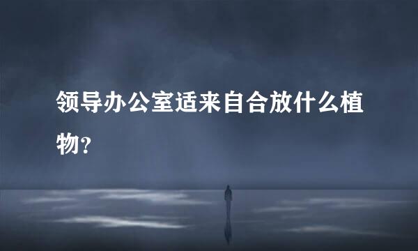 领导办公室适来自合放什么植物？