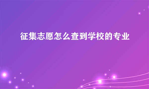 征集志愿怎么查到学校的专业