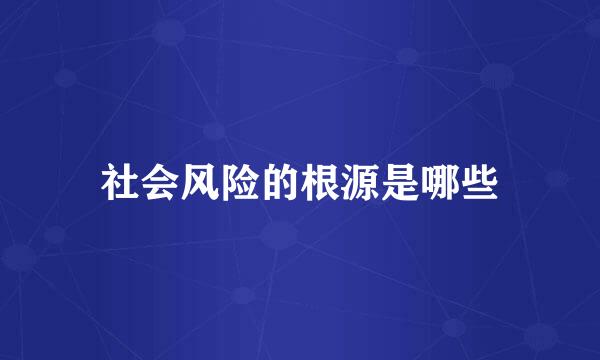 社会风险的根源是哪些