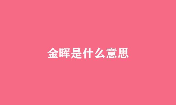 金晖是什么意思