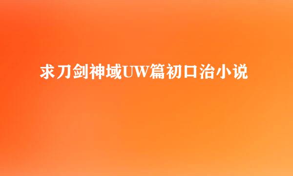 求刀剑神域UW篇初口治小说