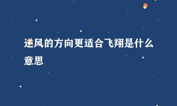 逆风的方向更适合飞翔是什么意思