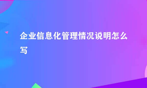 企业信息化管理情况说明怎么写