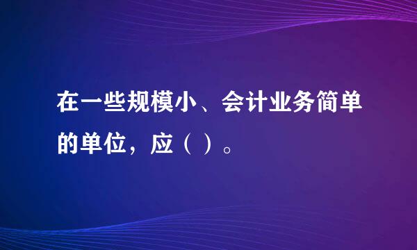 在一些规模小、会计业务简单的单位，应（）。