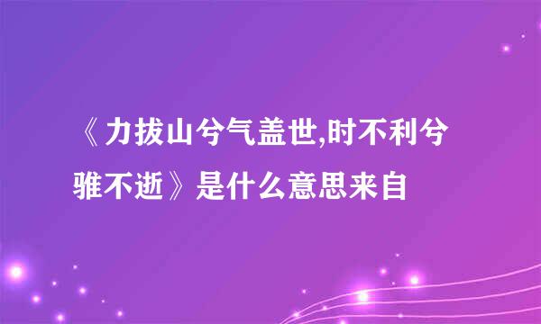 《力拔山兮气盖世,时不利兮骓不逝》是什么意思来自