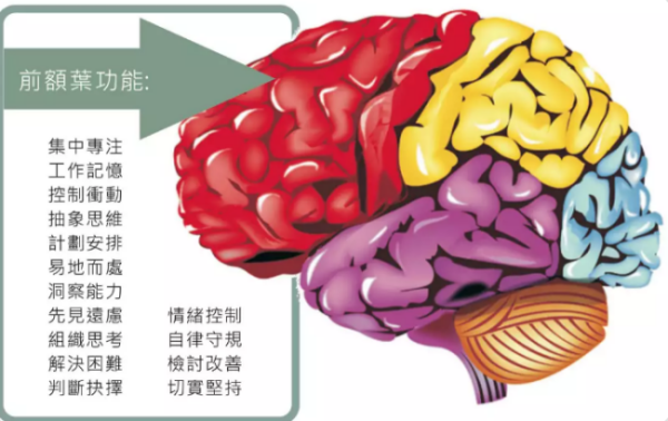 孩子专注力差的志原因？