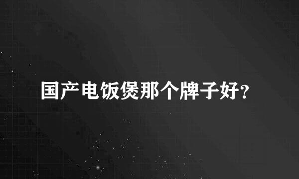 国产电饭煲那个牌子好？