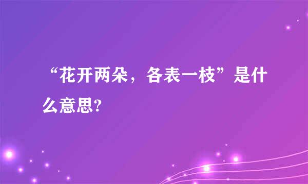 “花开两朵，各表一枝”是什么意思?