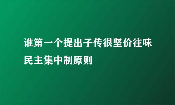 谁第一个提出子传很坚价往味民主集中制原则