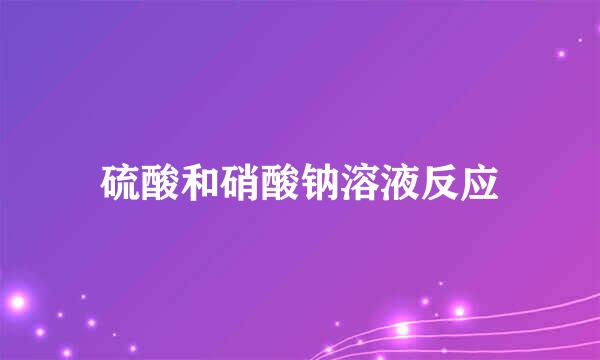 硫酸和硝酸钠溶液反应