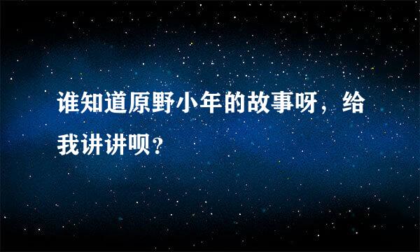 谁知道原野小年的故事呀，给我讲讲呗？