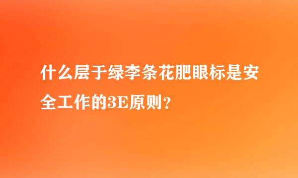 什么层于绿李条花肥眼标是安全工作的3E原则？