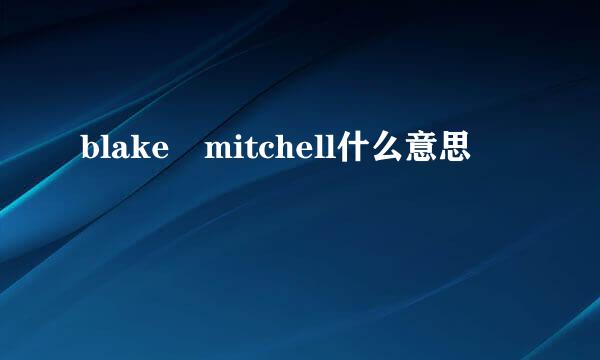 blake mitchell什么意思