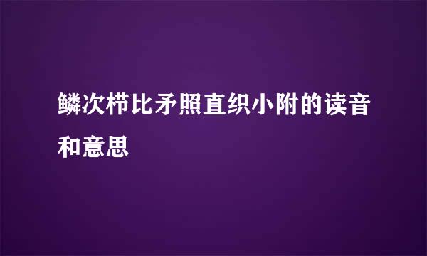 鳞次栉比矛照直织小附的读音和意思