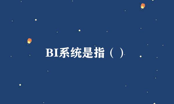 BI系统是指（）