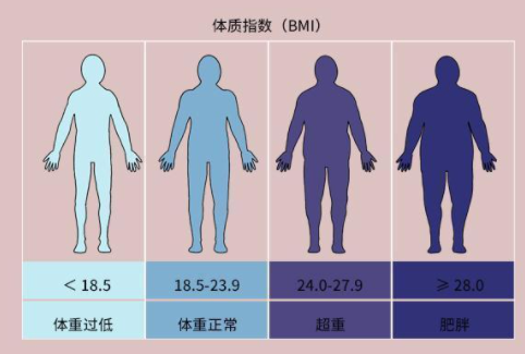 一米八标准体重来自是多少?