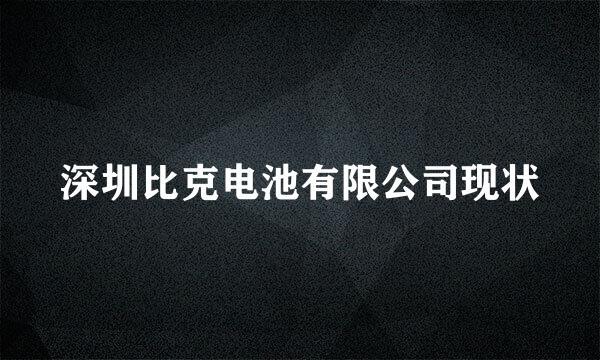 深圳比克电池有限公司现状