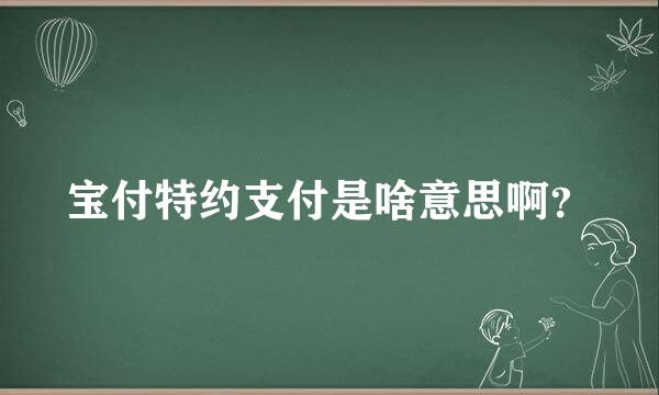 宝付特约支付是啥意思啊？