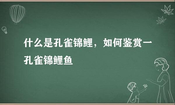 什么是孔雀锦鲤，如何鉴赏一孔雀锦鲤鱼