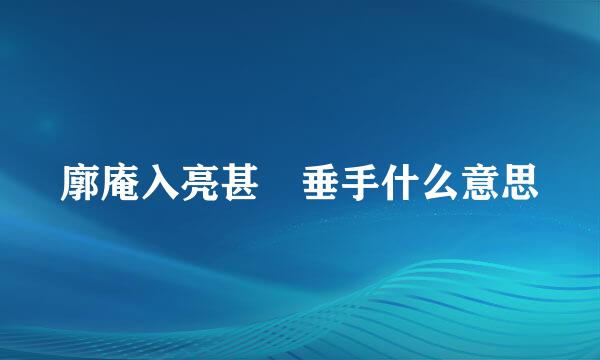 廓庵入亮甚鄽垂手什么意思