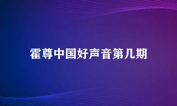 霍尊中国好声音第几期