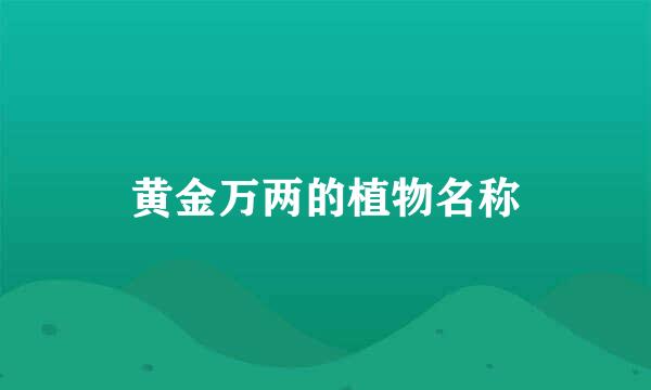 黄金万两的植物名称